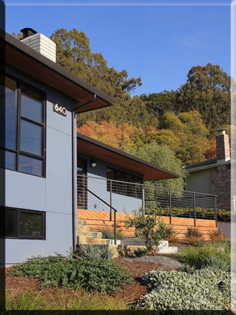 Modern bay area home